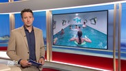 Moderator Jan Starkebaum © Screenshot 