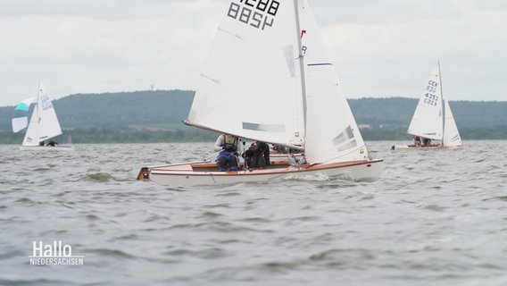 Segelboote der Bootsklasse "Pirat" bei einer Regatta auf dem Steinhuder Meer. © Screenshot 