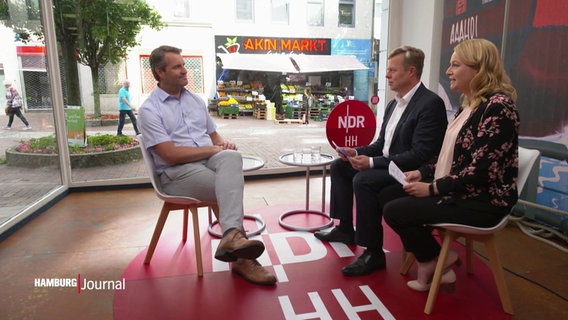 Dominik Lorenzen (Grüne) spricht im NDR Sommerinterview mit Dietrich Lehmann und Ines Jacobi. © Screenshot 