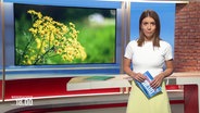 Moderatorin Lena Mosel im Studio. © Screenshot 