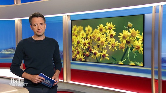 Moderator Jan Starkebaum im Studio. © Screenshot 
