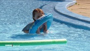 Ein Kleinkind spielt alleine in einem Nichtschwimmerbecken. © Screenshot 
