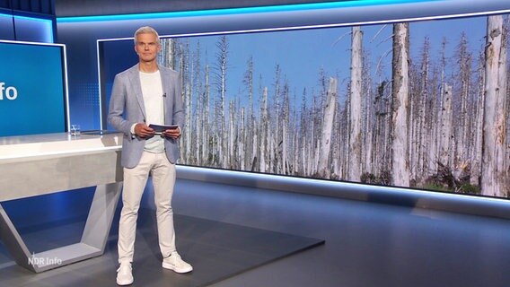 Thorsten Schröder moderiert NDR Info. © Screenshot 