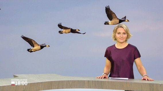 Marie Luisa Brams moderiert. © Screenshot 