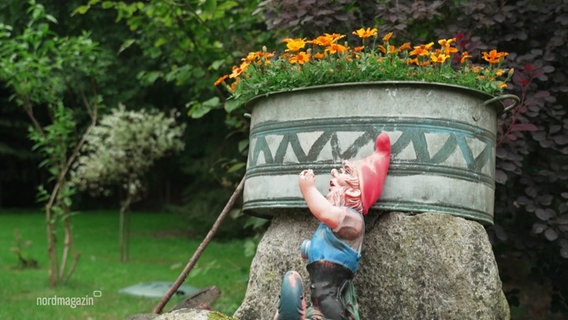 An einem Stein lehnt ein Gartenzwerg. © Screenshot 