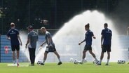 Spieler des HSV vor einer Wasserfontäne. © Screenshot 