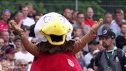 Ein Vogel-Maskottchen streckt die Arme in die Luft. © Screenshot 