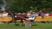 Jockey Hans-Jürgen von Holdt beim Trabrennen © Screenshot 