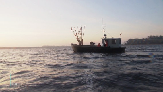 Ein Fischkutter auf dem Wasser © Screenshot 
