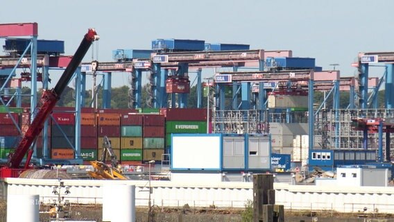 Der Hamburger Hafen © Screenshot 