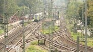 Ein verzweigtes Bahnstreckennetz. © Screenshot 