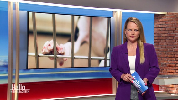 Moderatorin Tina Hermes im Studio. © Screenshot 