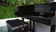 Ein Konzertflügel von Steinway mit Klavierhocker. © Screenshot 