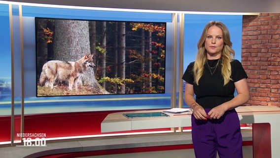Tina Hermes moderiert Niedersachsen 18.00. © Screenshot 