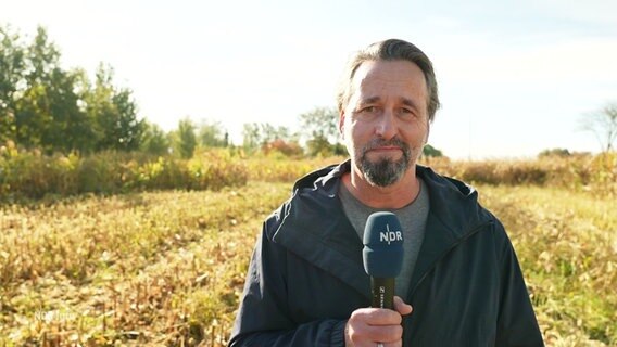 NDR-Reporter Stefan Weidig berichtet von einem Maisfeld in Nieköhr. © Screenshot 