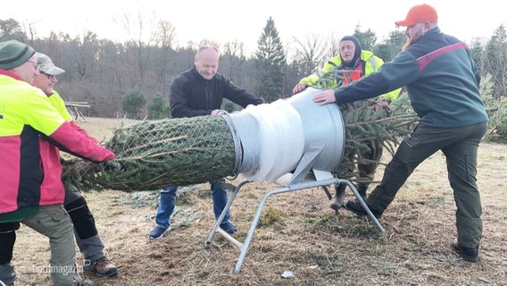 Ein Tannenbaum wird in ein Netz verpackt. © Screenshot 