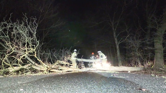 Die Feuerwehr entfernt einen Baum von der fahrbahn. © Screenshot 
