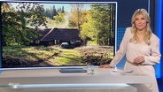Bibiana Barth moderiert NDR Info um 16.00. © Screenshot 