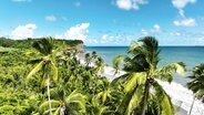 Palmenstrand auf Grenada © Screenshot 