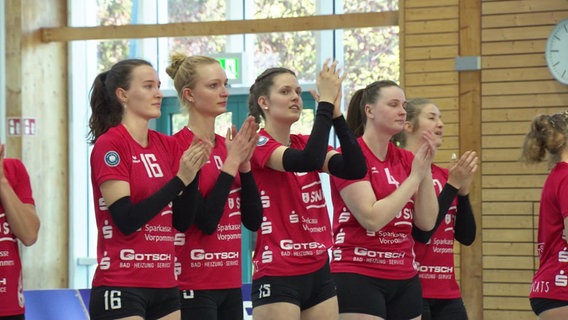 Spielerinnen der Stralsunder Wildcats klatschen nach einem Volleyballspiel. Spielerinnen der Stralsunder Wildcats klatschen nach einem Volleyballspiel. © Screenshot