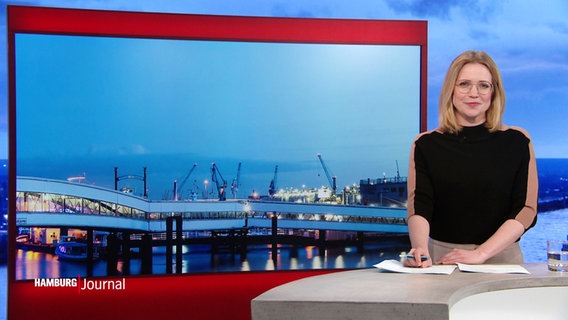 Merlin van Rissenbeck moderiert das Hamburg Journal 18.00. © Screenshot 