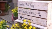 Eine Kiste weist den Weg zu einem Gewächshaus. © Screenshot 