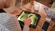 Übder die Schulter hinweg sieht man wie eine Frau an einem iPad eine Illustration anfertigt. © Screenshot 