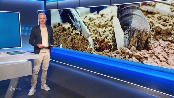 Moderator Thorsten Schröder © Screenshot 