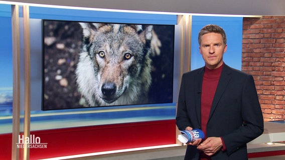 Arne-Torben Voigts © Screenshot 