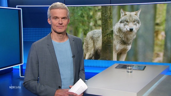 Moderator Thorsten Schröder © Screenshot 
