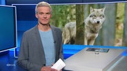 Moderator Thorsten Schröder © Screenshot 