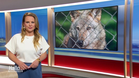 Tina Hermes moderiert. © Screenshot 