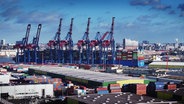 Panorama-Blick auf den Hamburger Hafen mit mehreren Container-Kränen und der Elbphilharmonie im Hintergrund © Screenshot 