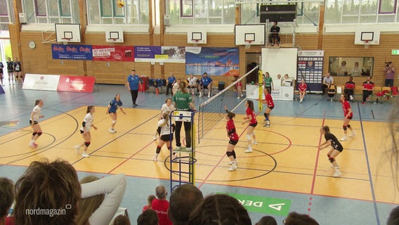 Die Volleyballerinnen der Wildcats Stralsund während eines Spiels. © Screenshot 