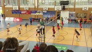 Die Volleyballerinnen der Wildcats Stralsund während eines Spiels. © Screenshot 