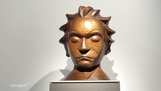 Eine bronzene Beethoven-Büste. © Screenshot 