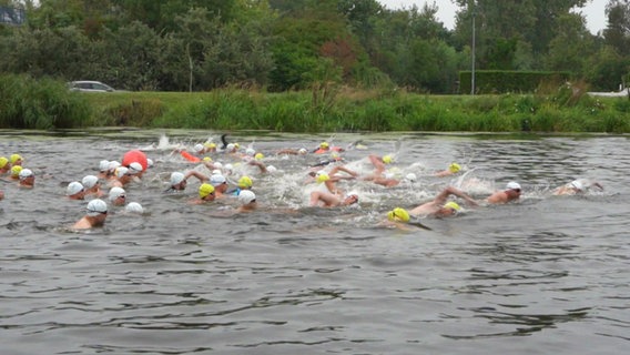 Mehrere Menschen mit gelben und weißen Badekappen schwimmen in der Peene. © Screenshot 