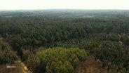 Der Sachsenwald in Schleswig-Holstein aus der Luft betrachtet. © Screenshot 