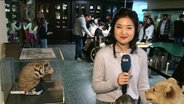 Annette Yang hält ein Mikrofon im Museum. © Screenshot 