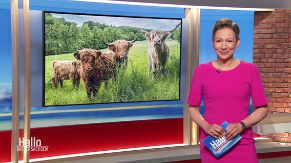 Christina von Saß moderiert Hallo Niedersachsen. © Screenshot 