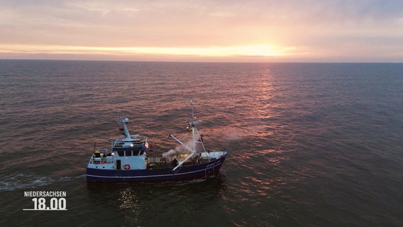 Ein Fischkutter treibt auf dem Meer. © Screenshot 