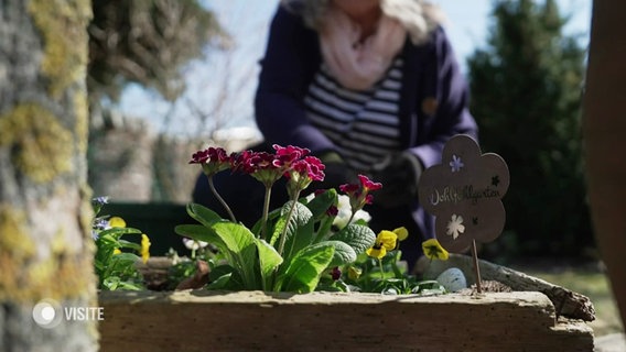 Blumen, im Hintergrund eine Person bei der Gartenarbeit. © Screenshot 