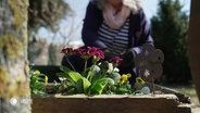 Blumen, im Hintergrund eine Person bei der Gartenarbeit. © Screenshot 