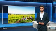 Moderator Daniel Anibal Bröckerhoff im Studio. © Screenshot 