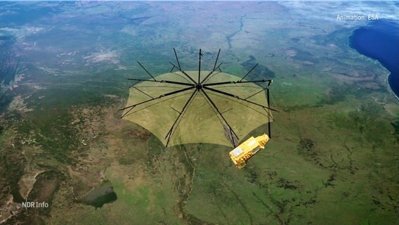 Grafik des Satelliten "Biomass". © Screenshot 