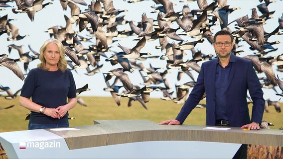 Moderatorin Harriet Heise und Moderator Christopher Scheffelmeier © Screenshot 