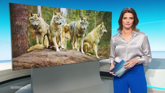 Frauke Rauner. © Screenshot 