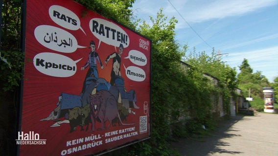 Ein Plakat klärt über die Rattenplage auf. © Screenshot 