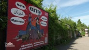 Ein Plakat klärt über die Rattenplage auf. © Screenshot 