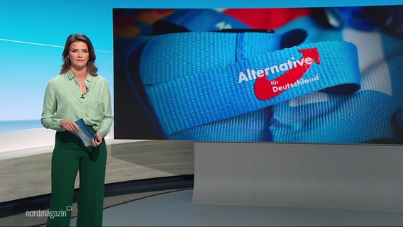 Frauke Rauner moderiert das Nordmagazin. © Screenshot 